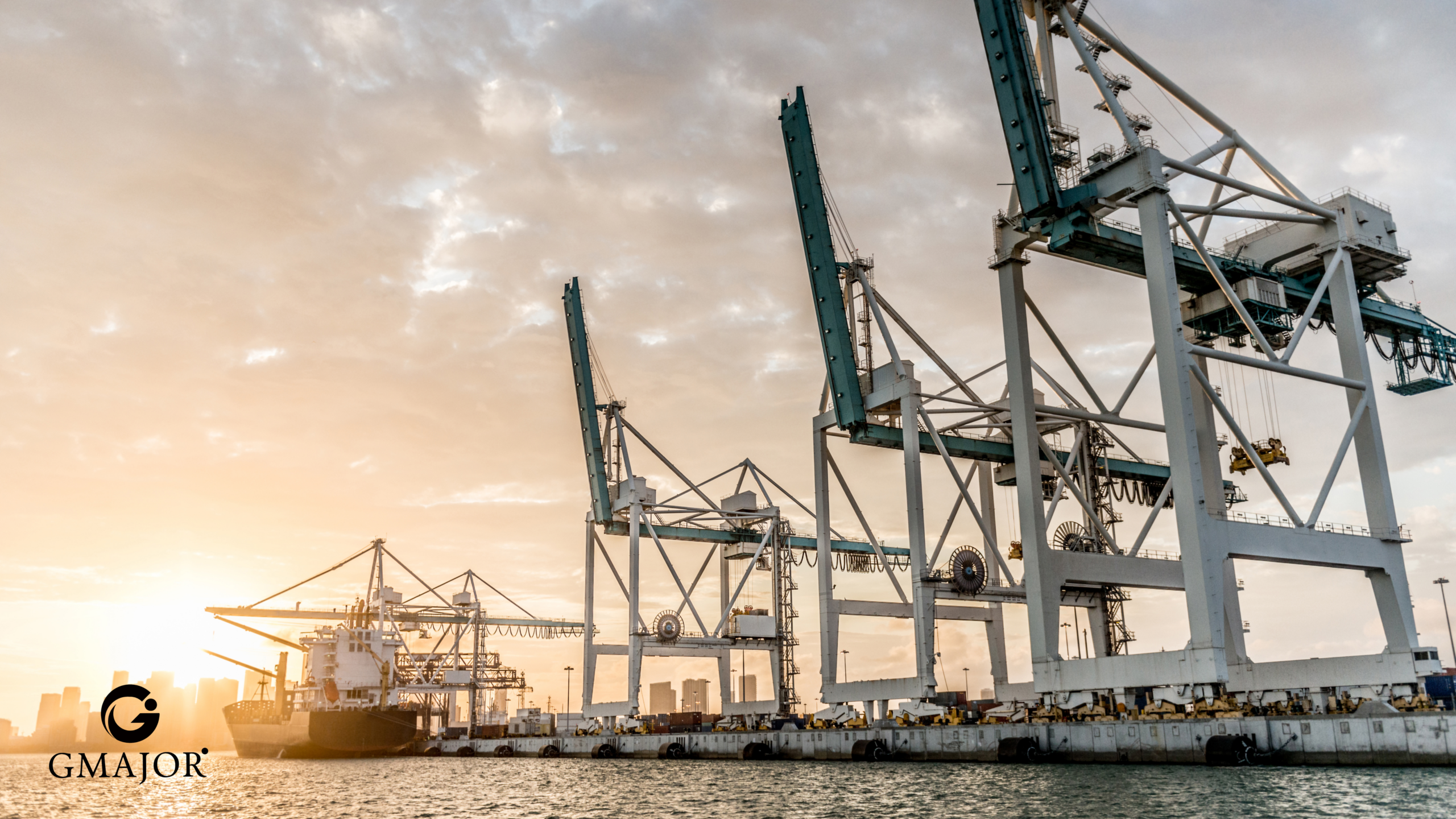 Ngành Xuất Nhập Khẩu 2025 Bùng Nổ: Tạo Tiền Đề Cho 2026 Phát Triển Vượt Trội