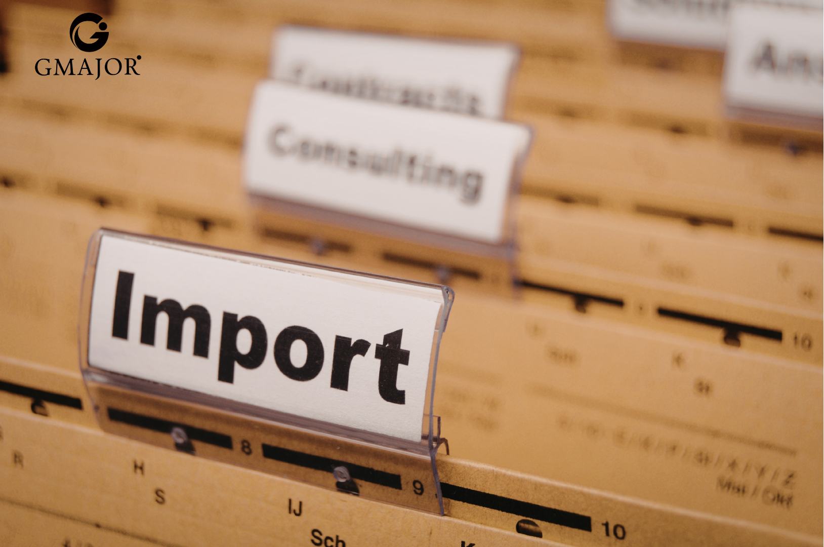 nhập khẩu chính ngạch